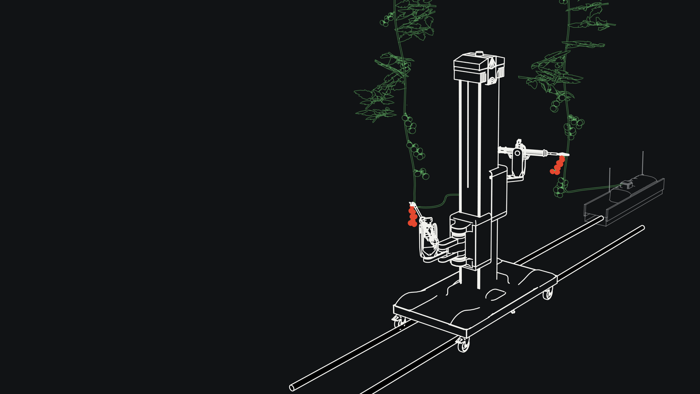 HARVIX harvesting robot working on greenhouse pipe rails between tomato plants