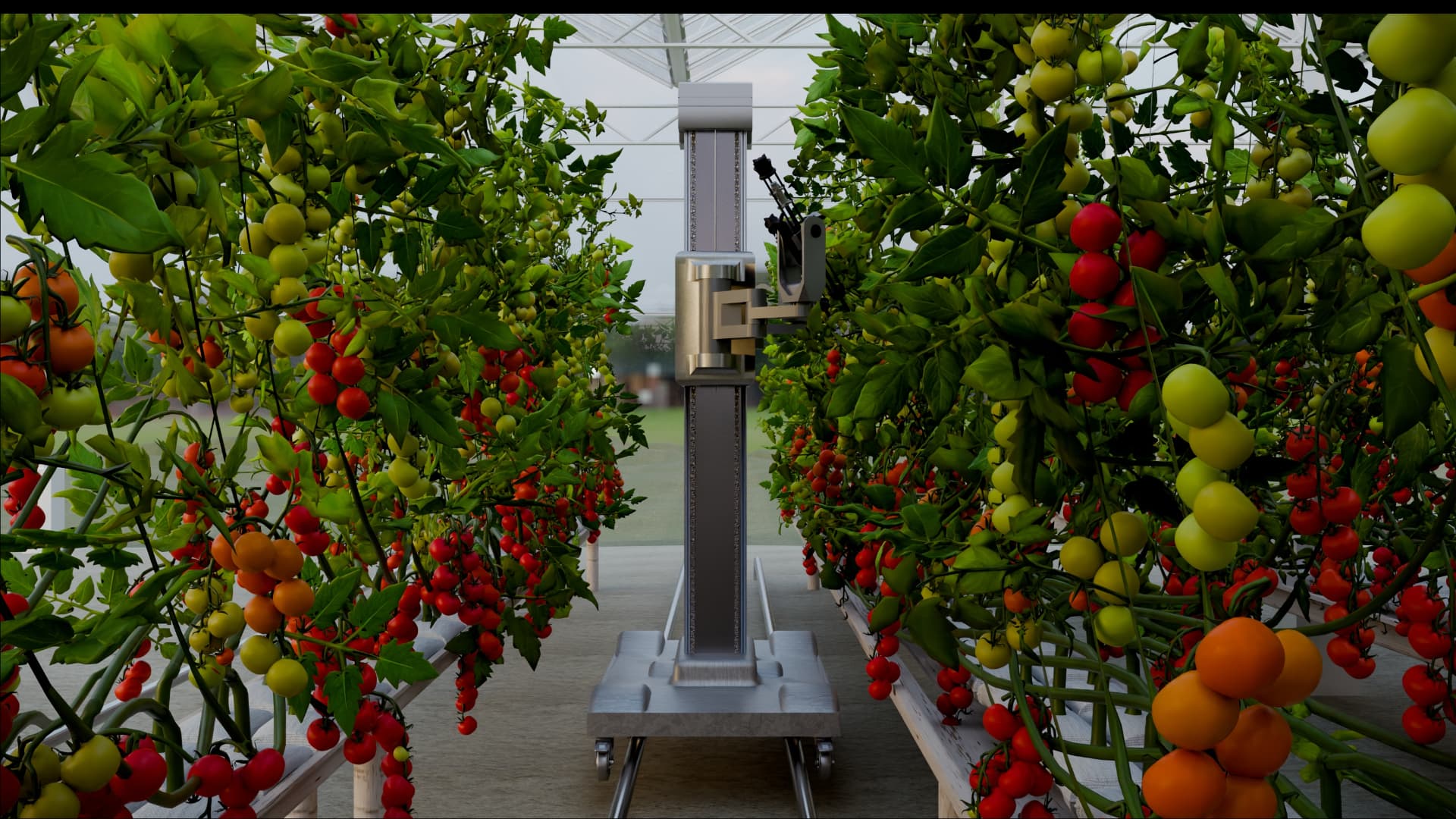 HARVIX concept render — working the row between tomato walls