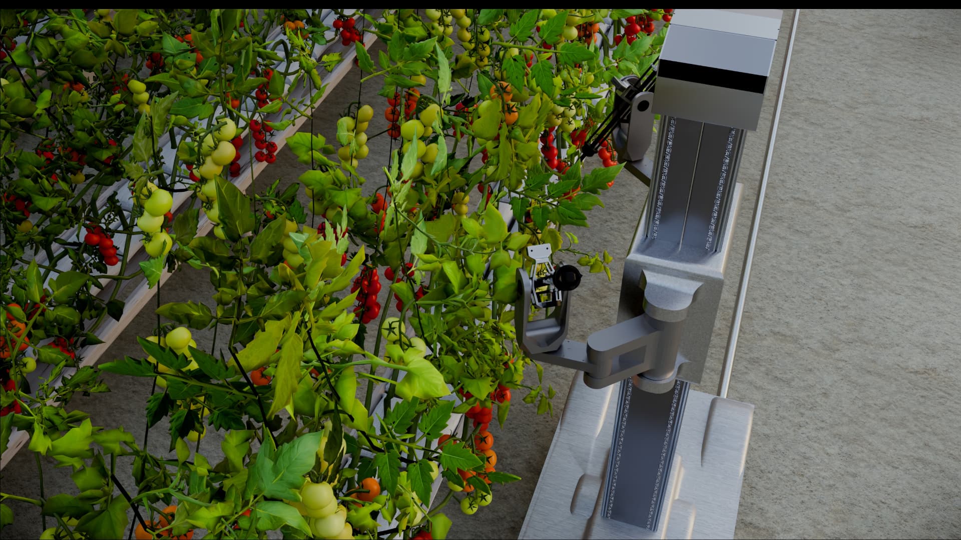 HARVIX concept render — overhead view in the tomato rows