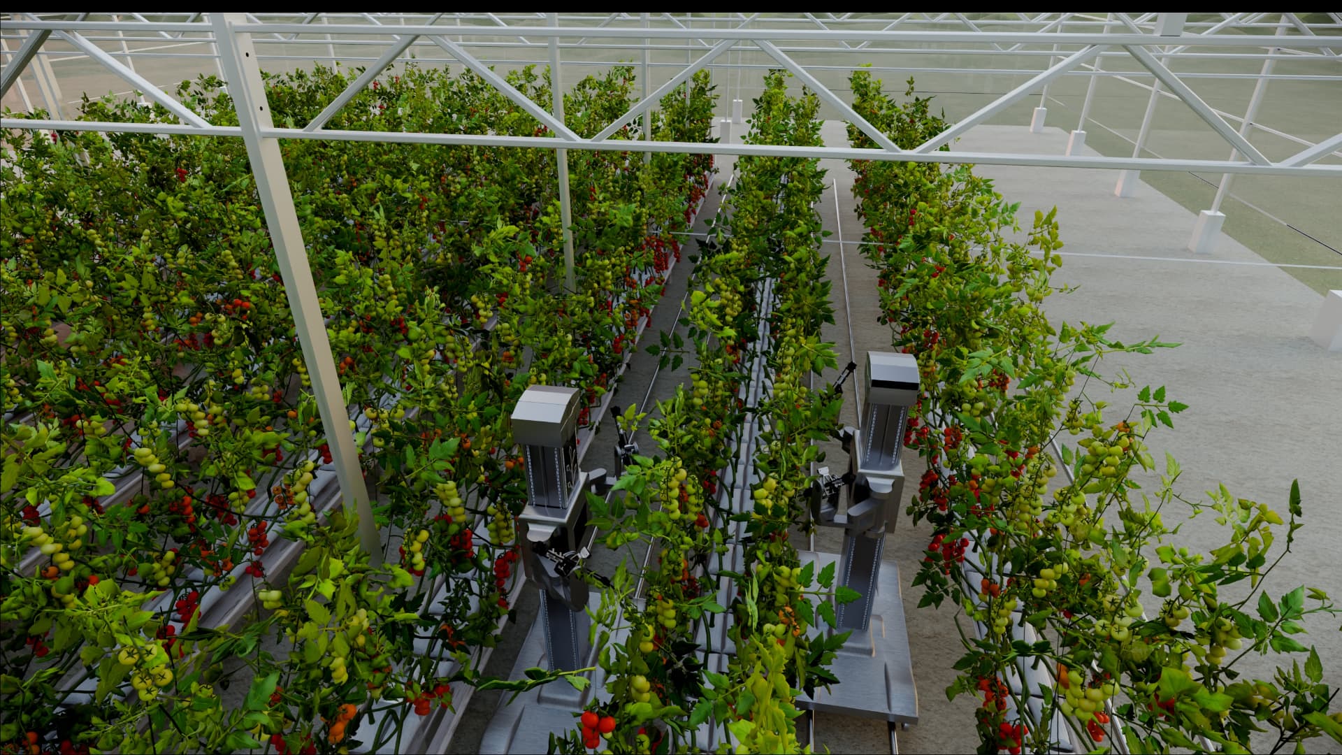 HARVIX concept render — greenhouse aisle with robots