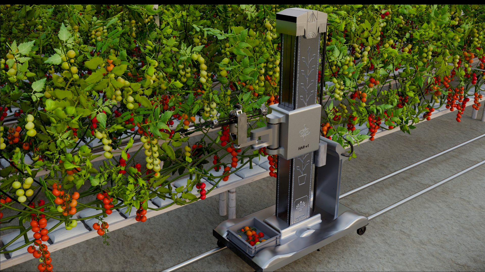 HARVIX concept render — harvesting tomatoes in a greenhouse row